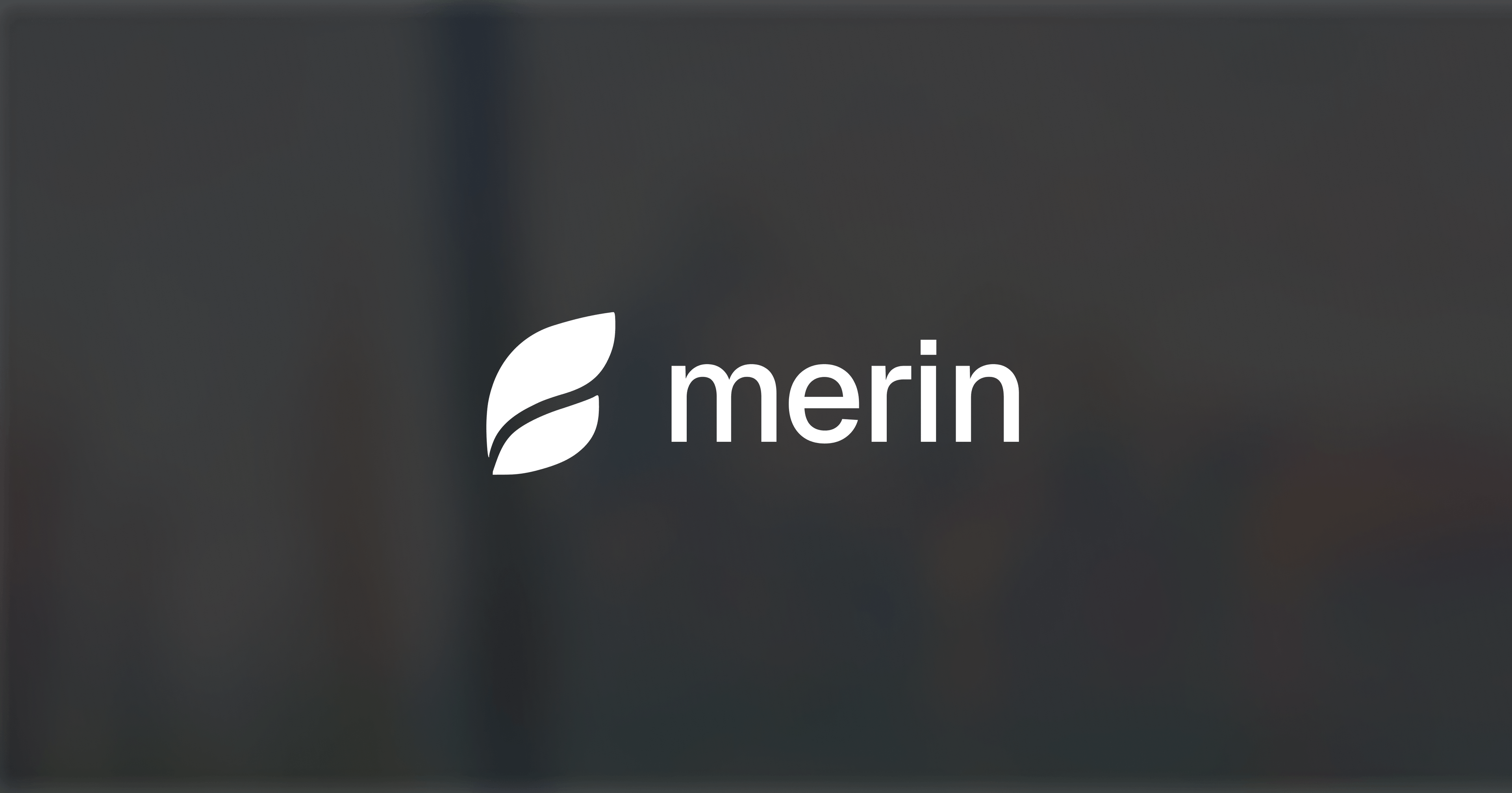 Merin screenshot